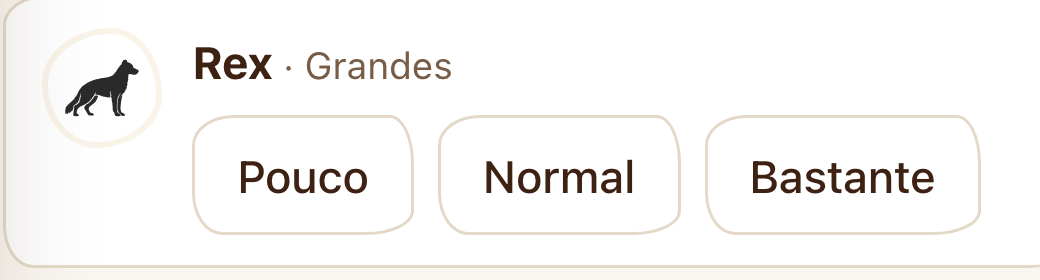 Registro da tarefa da monitora para um pet